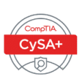 cysa1 (1)