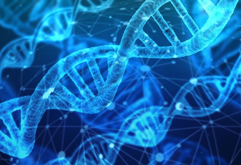 תקן רגולציית HIPAA לבדיקת ד.נ.א