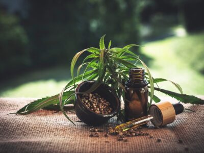 Cyber security for Medical Cannabis Companies and Start-ups